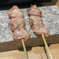 始祖鳥 - 
