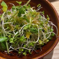 焼鳥 くまわき - サラダ