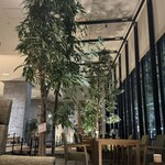 Bar Coco Ciel - 