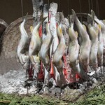 徳ㇵ本也 - 琵琶湖の子持ち鮎