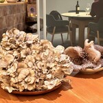 ヴェンティノーヴェ - 