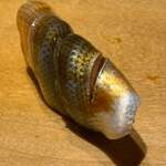 寿し おおはた - 