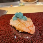 鮨 猪股 - 甘エビ