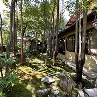 イノベーティブ フレンチ ワタハン - 