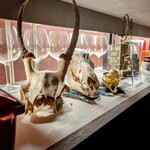 サンフォコン - 