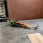 サンフォコン - 