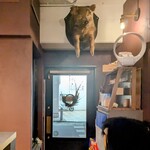 サンフォコン - 