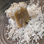 サンフォコン - 