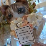 ういすぱー - 花入口あたり