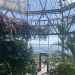 神戸布引ハーブ園 - 