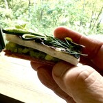 レヴォ - 太刀魚