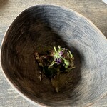 レヴォ - 月の輪熊