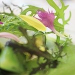 日比谷パレス - 