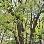 日比谷パレス - 