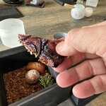 レヴォ - 富山県産黒イチヂクのタルト