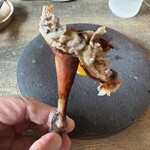 レヴォ - レヴォ鶏断面