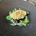 レヴォ - ヨロイイタチウオ