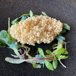 レヴォ - ヨロイイタチウオ