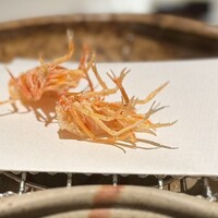 天ぷら 銀座おのでら 並木通り店 - 