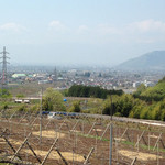 パパソロッテ - 店からの眺望