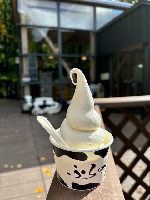 富良野チーズ工房 アイスミルク工房（フラノチーズコウボウ アイスミルクコウボウ） - 富良野（ジェラート・アイスクリーム）の写真