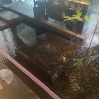 XEX TOKYO / 鉄板焼An - 