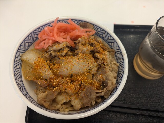 Yoshinoya Moriyama Ten photo 5
