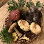 オステリア セルヴァジーナ - 天然きのこ