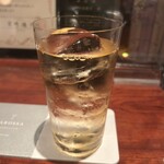 BAROSSA cocktailier - 