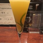 BAROSSA cocktailier - 