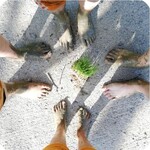 ゴカイドコロ - 