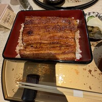 うなぎ 目白ぞろ芽 - 