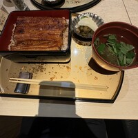 うなぎ 目白ぞろ芽 - 