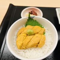 函館うに むらかみ 日本生命札幌ビル店 - 生ウニ丼　sサイズ　ウニ40g