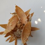 フィリップ・ミル 東京 - 