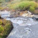 後生掛温泉 - 後生掛自然研究路