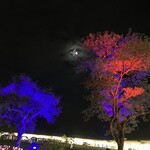 Dashi to Shinju Gohan Sakuya Honten