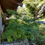 そば処 時遊庵 あさかわ - 入り口