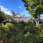 そば処 時遊庵 あさかわ - ワイルドな中庭