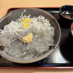 マイアミ貝新 - 