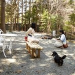 仙石高原大箱根一の湯 - ドックラン