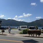 そば処みよし - 芦ノ湖。