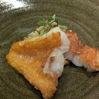 SCALAE - 