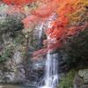 みのお滝茶屋 楓来坊 - 外観写真:紅葉シーズン