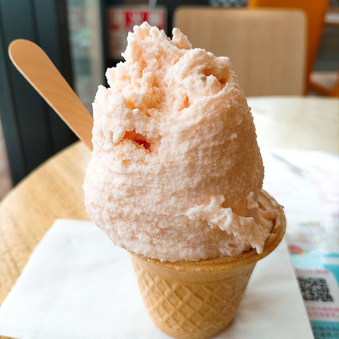 写真 : 松ぼっくり - 厨川/ジェラート・アイスクリーム | 食べログ