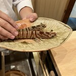 日本料理 新茶家 - 