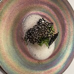 ヴァンサンク・ブランシュ - 