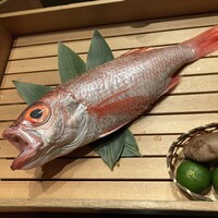 のどぐろ専門 銀座中俣 はなれ - 