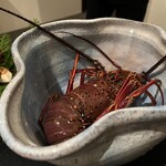 日本料理 TOBIUME - 