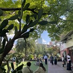 Little Darling Coffee Roasters - 